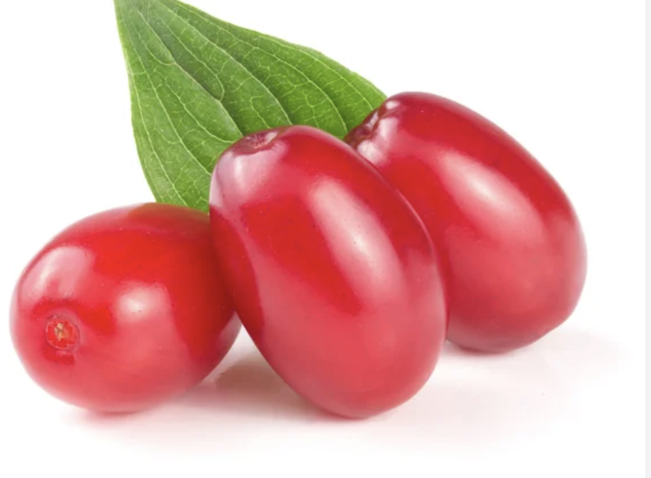 Il Corniolo, i frutti e la pianta